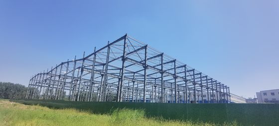 Il magazzino dell'alimento della struttura d'acciaio ha prefabbricato l'installazione della struttura d'acciaio