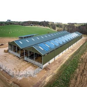 Multi ampia luce colorata della struttura d'acciaio della tettoia prefabbricata del pollame rispettosa dell'ambiente