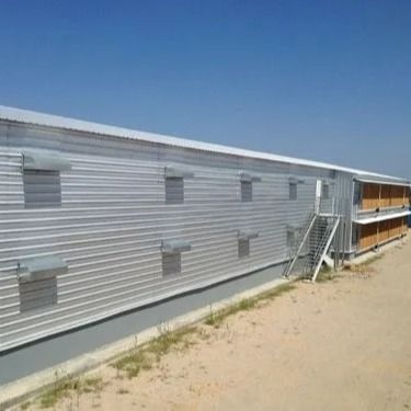Multi ampia luce colorata della struttura d'acciaio della tettoia prefabbricata del pollame rispettosa dell'ambiente