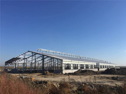 Edificio agricolo prefabbricato in acciaio Q235B per allevamento bovini