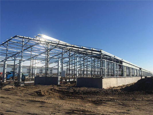 Edificio agricolo prefabbricato in acciaio Q235B per allevamento bovini