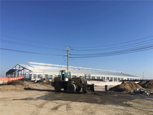 Edificio agricolo prefabbricato in acciaio Q235B per allevamento bovini