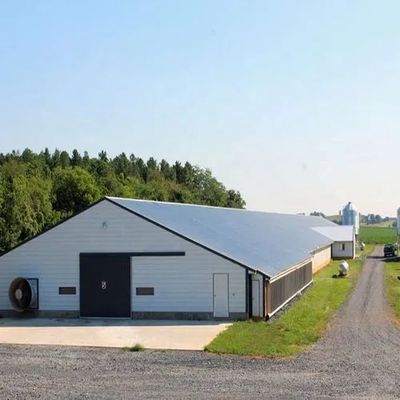 Prefabbricazione di strutture in acciaio a piano unico per edifici di magazzino