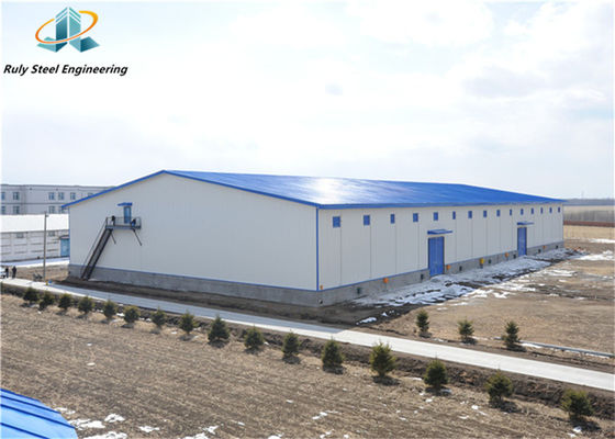 Qingdao Manufacture Professional Design Struttura in acciaio personalizzata