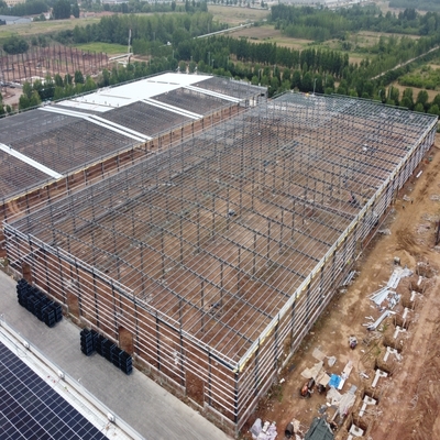 Magazzino Prefabbricato in Acciaio per Fabbrica di Trasformazione Alimenti per Animali