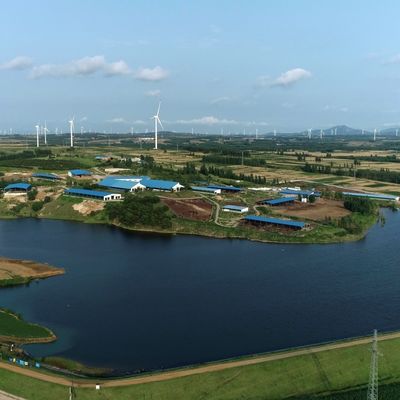 Struttura in acciaio prefabbricato Modulare allevamento di mucche capanno Edificio in acciaio con trattamento superficiale durevole e lunga durata