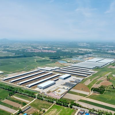 Progettazione fornitura struttura in acciaio moderna allevamento lattiero-caseario capannone metallo allevamento con sistema di ventilazione