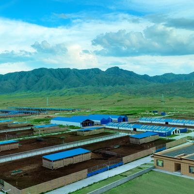 Stalla per bovini da latte e da carne in acciaio zincato, durata 20+ anni