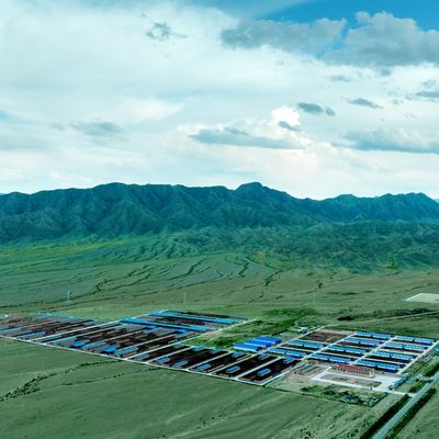 Stalla per bovini da latte e da carne in acciaio zincato, durata 20+ anni