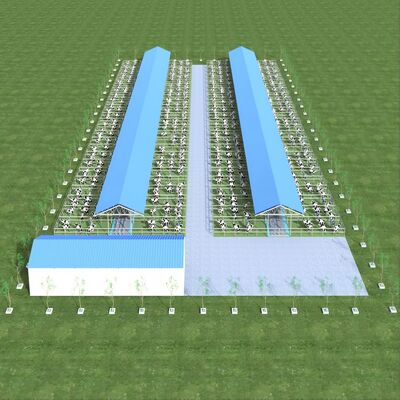 Progettazione fornitura struttura in acciaio moderna allevamento lattiero-caseario capannone metallo allevamento con sistema di ventilazione