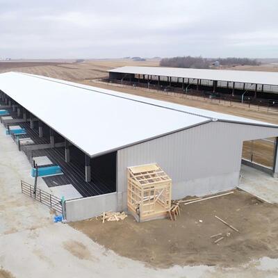 Progettazione di case aperte Struttura in acciaio su misura Capannone prefabbricato con ventilazione sul tetto
