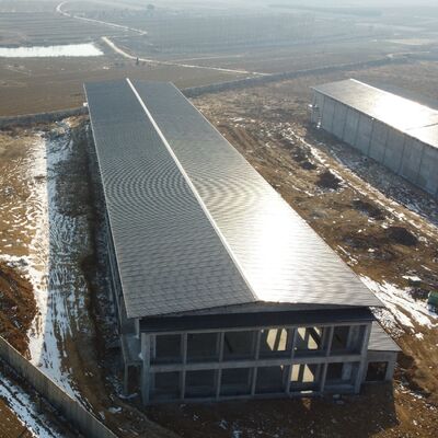 Capanni per pollame prefabbricati in acciaio Montaggio a bullone rapido Non sono necessari strumenti speciali