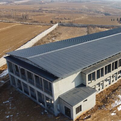 Capanni per pollame prefabbricati in acciaio Montaggio a bullone rapido Non sono necessari strumenti speciali