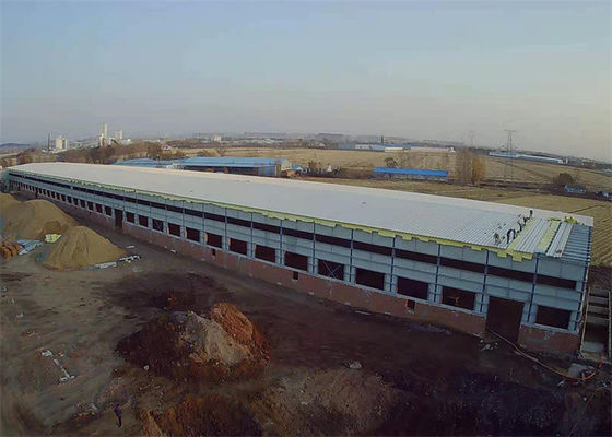 Gruppo di lavoro concreto 200m×40m del magazzino prefabbricato della struttura d'acciaio